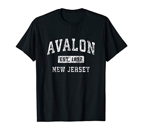 Avalon New Jersey NJ Vintage Established Sports Design T-Shirt Avalon New Jersey NJ Vintage Established Sports Design T-Shirt