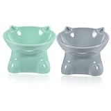 Porte-nourriture pour chat - conception , structure simple, pas de coins morts pour nettoyage, la conception de polissage de surface rend facile à nettoyer, bol pour chat avec protection du cou