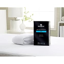 Bedgear Basic Mattress Protector –Waterproof Mattress Cover for College Dorm Beds - Lightweight, Breathable & Noiseless Mattress Pad - Machine Washable Bed Protector for Stain Protection - Queen