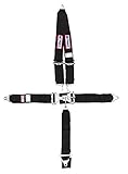 RJS Racing Equipment 1126201 Harness System, Black