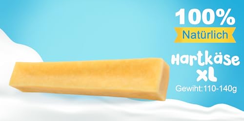 Kaukäse für Hunde XL3 Stück Käse Kauknochen Hartkäse für Hund