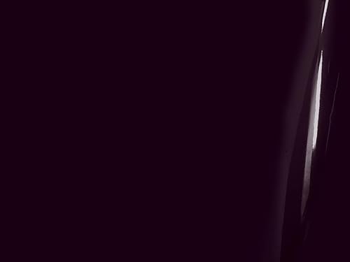 Miniatura 2 de Avery Dennison HP750 - Rollo de lámina de vinilo para Cricut, Silueta, Cameo, Artesanía y Letreros