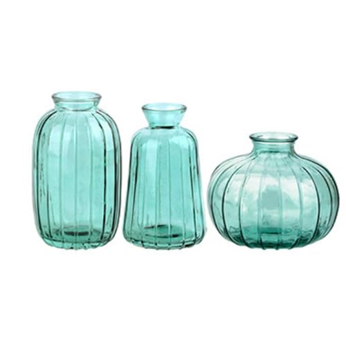RWAJZAX Jarrones de vidrio de pared engrosados con cogollos acanalados transparentes, juego de 3 unidades, no tóxicos, seguros arreglos florales, contenedores decorativos, para hogares, salones