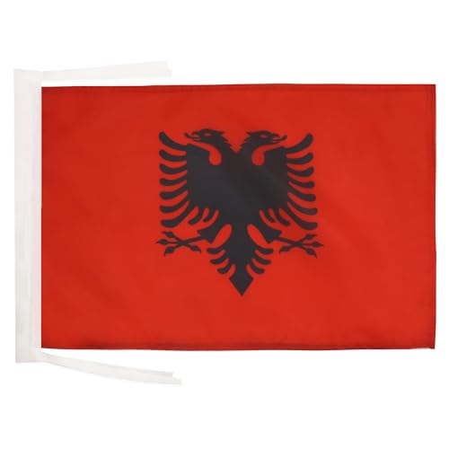 AZ FLAG Canton of Schwyz Flag 90x90 cm 100D Polyester Pole Sleeve