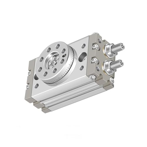 Cylindre pneumatique MSQA1A avec table pivotante rotative à angle réglable pour automatisme - 5