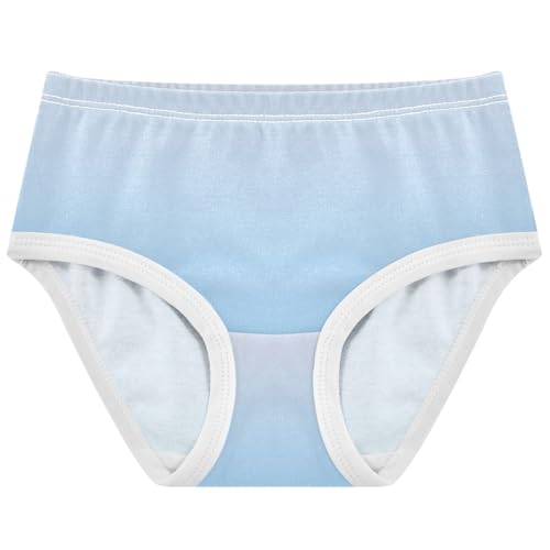 Joisal Sky Blue Gradient Toddler Underwear Floral 2t Cotton Panties Little Girl Cartoon Briefs Undies Kids