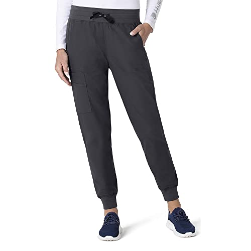 Carhartt Women's Force Jogger Pant, Pewter, Large