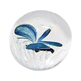 Hauteur : 6 cm x Longueur : 6 cm x Profondeur : 6 cm. Poids de l'article : 0,28 kg. Poids du colis : 1,5 kg.