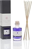 Fragancia de lavanda: floral, herbácea