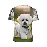 Zoom IMG-2 bichon frise dog on the