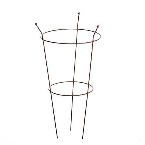 Medium Peony Frame Outdoor Heavy Duty Herbaceous Garden Plant Support Ring for Perennial Flowers Border Cage 63cm x 34cm (1 x Frame Rust)