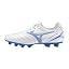multicolor (white / blue)