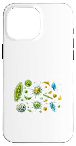 �A���v�����N�g�� �����v�����N�g�� �o�N�e���I�v�����N�g�� �X�}�z�P�[�X iPhone 16 Pro Max �p