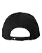 Wu-Tang Clan World Wide Logo Black Snapback Cap