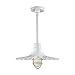 Millennium RRWS18-WH One Light Pendant, White