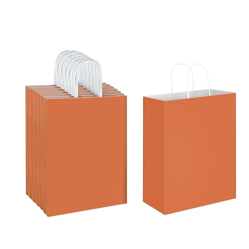 Oikss 50 Pack 10x5x13 Orange Kraft Paper Bags with Handles Bulk for Birthday Party Favors Grocery Retail Shopping Business Goody Recycled Craft Gift Bags (Large Size, 50 Count)