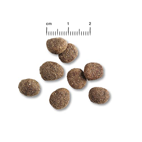 Belcando 2 x 12,5 kg Finest Croc - Sparpaket