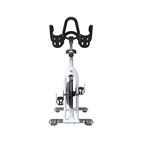 Schwinn Ac Performance Plus Indoor Bike With Carbon Blue Belt Drive And Morse Taper - White #TOP3