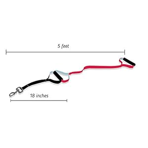 Leashboss-Original-Heavy-Duty-Dog-Leash-for-Large-Dogs-No-Pull-Double-Handle-Training-Lead-for-Walking-Big-Dogs-Dog-Leashes-with-Padded-Handle-for-Control-and-Safety-Classic-Red - Cucciolini Doodles   Leashboss-Original-Heavy-Duty-Dog-Leash-for-Large-Dogs-No-Pull-Double-Handle-Training-Lead-for-Walking-Big-Dogs-Dog-Leashes-with-Padded-Handle-for-Control-and-Safety-Classic-Red