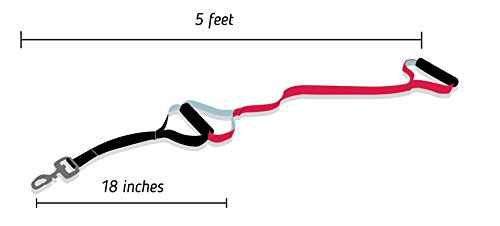 Leashboss-Original-Heavy-Duty-Dog-Leash-for-Large-Dogs-No-Pull-Double-Handle-Training-Lead-for-Walking-Big-Dogs-Dog-Leashes-with-Padded-Handle-for-Control-and-Safety-Classic-Red - Cucciolini Doodles   Leashboss-Original-Heavy-Duty-Dog-Leash-for-Large-Dogs-No-Pull-Double-Handle-Training-Lead-for-Walking-Big-Dogs-Dog-Leashes-with-Padded-Handle-for-Control-and-Safety-Classic-Red