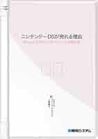 NintendoDSになります！壊れてるところなどはありません！書類も全部あり！ DSを修理するにはどうすればいい？ : r/NintendoDS