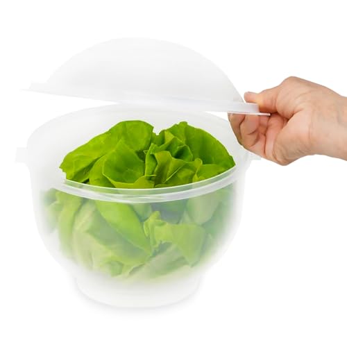 Home-X BPA-Free Lettuce Keeper for Refrigerator