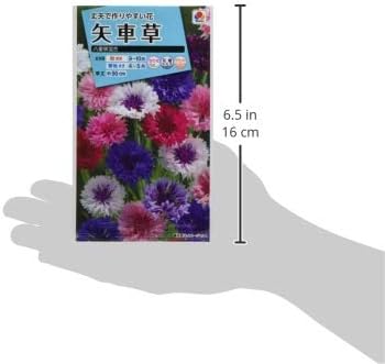 Amazon タキイ種苗 矢車草八重咲混合 内容量 1 5ml Fyg110ebf 花