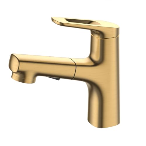 MMRTDJDR Grifos para Lavabo con rociador extraíble Grifo para Lavabo de baño Grifo Monomando para Lavabo de latón con rociador Extensible de 2 Funciones, Agua fría y Caliente, con mangueras estándar