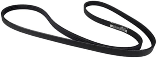 Motorcraft Drive Belt