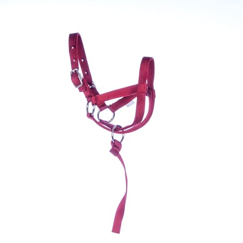 Jeffers Llama Halter - Adult Color: Red