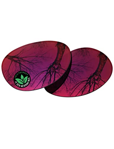 Raydi Polycarbonate Replacement Lenses for RayBan Erika RB4171 54mm Round Sunglasses