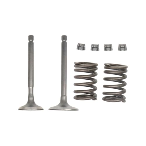 Soupape d'échappement d'admission pour TTR125 2000-2024 et YFM125 kit complet moteur