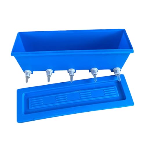 qpMr ƒ{p Ԃ qr̃{g M{g qMpi qqr p̎qMr _pi