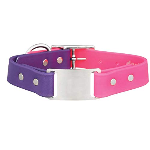 dogIDS Personalized Two Tone Waterproof ScruffTag Dog Collar - Built-in Custom Laser Engraved ScruffTag Nameplate, Odor Resistant, Pink & Purple, 1 in x 14 in (Fits Neck Sizes: 12-16 in)