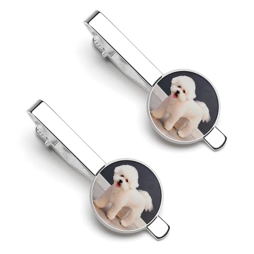 lN^Cs 2{Zbg rVEt[[  킢 ^C^bN ߑANZT[ am   w d rWlX  ̓ Y j v[g