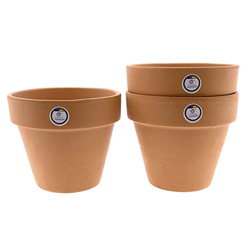 {Macetas Barro Medianas Macetas CERÁMICA RAMBLEÑA | Macetas de Barro Rojo | Macetas Decorativas | Macetas de cerámica | Macetas Exterior | Pack x3 Maceta...