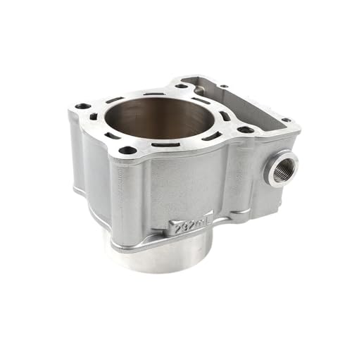 Segments piston Loncin 300DS stopper fuite huile joint culasse moto