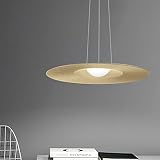 【Dimensiones】diámetro de la lámpara (60 cm), altura (13 cm), modelo de fuente de luz (E27 * 1) La lámpara de araña clásica y elegante puede crear un ambiente de vida acogedor, natural y amoroso.
