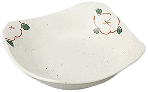 10Zbg  ᕲԊG5.0pM [14 x 14 x 4cm] y  aH HX Ɩp  Hz