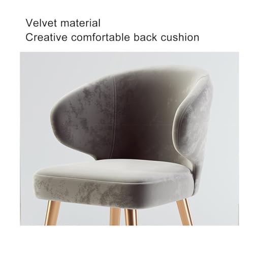 Fauteuil d'Angle Velours Gris Clair : Siège Confortable Chambre