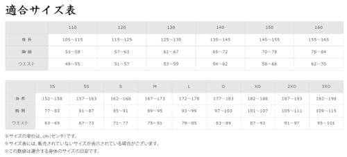 HAYASAKA ミズノ 野球練習用フルオープンシャツ Lサイズ