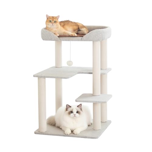 LULUCAT Lbg^[ u 95cm   RpNg ~p L ZL CeA  Ⴂ n X R[i[ ȃXy[X CgO[ x[X L qL Lbgc[ L^[  