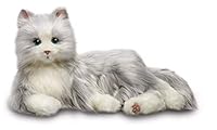 Algopix Similar Product 12 - Joy For All Companion Pets Silver Cat