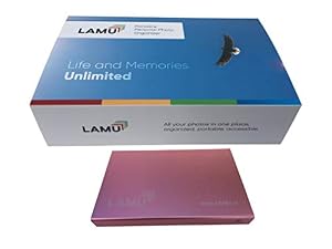 Lamu tragbarer digitaler Foto-Organizer für Fenster rose gold 1 TB