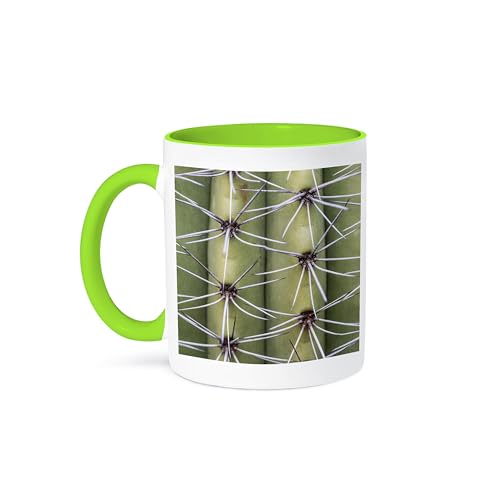 3dRose, Arizona, Phoenix. Desert Botanical Garden, cactus close-up, 11oz Two-Tone Green Mug