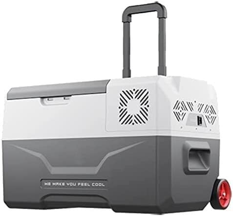 Piccolo Frigorifero Frigo for Auto Frigo Dispositivo di Raffreddamento 30/40/50L 12V Mini Frigo Portatile Compressore Congelamento Piccolo (Size : 30l)