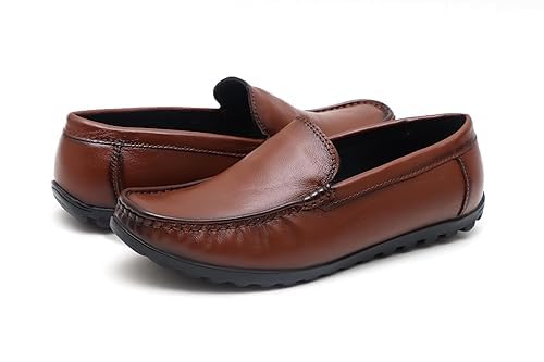 Image of ARAMISH Genuine Leather Loafers Shoes for Men