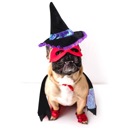 Disfraz de mago para perros talla L color morado