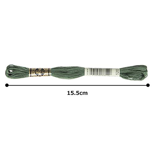 Image of DMC 6-Strand Embroidery Cotton Floss, Dark Fern Green