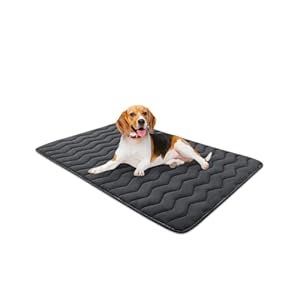Bubble bear Dog Crate Mat,Soft Dog Crate Mat with Anti-Slip Bottom,Machine Washable,Portable Kennel Pad, Lightweight Travel Flat Pet Beds for Indoor& Outdoor Dogs（36″X 23″）